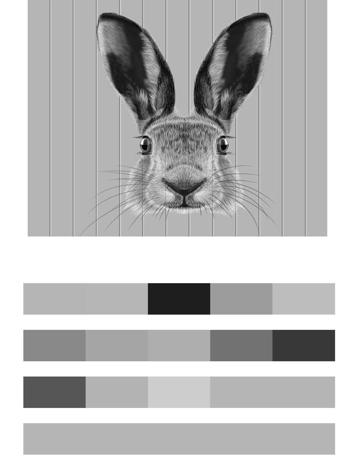 Кролик цвета